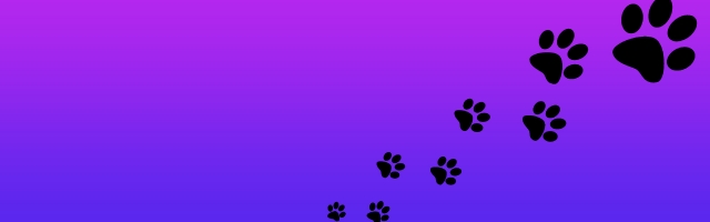 Roxy Raccoon 2: Topsy-Turvy Review