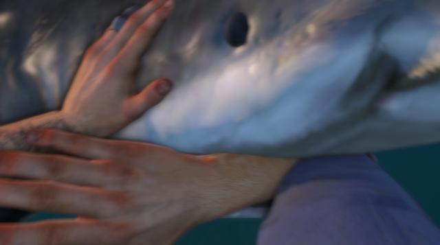 Far Cry 3 Sharks 3